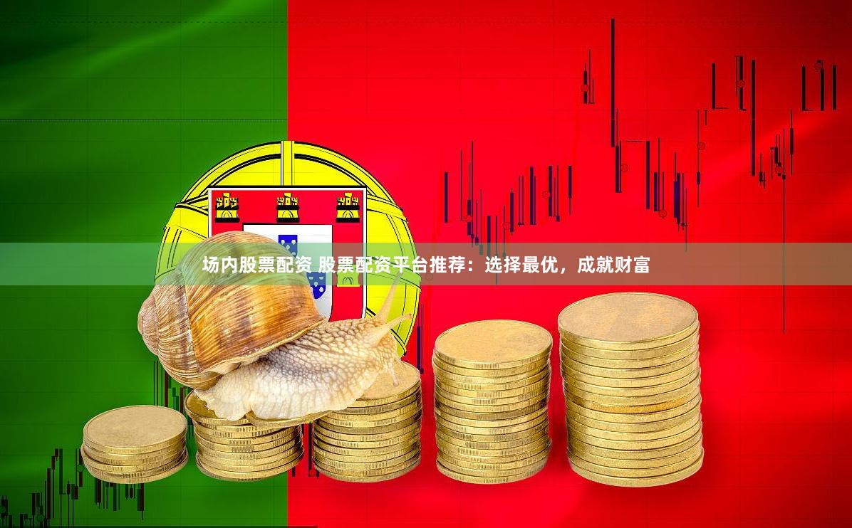 场内股票配资 股票配资平台推荐：选择最优，成就财富